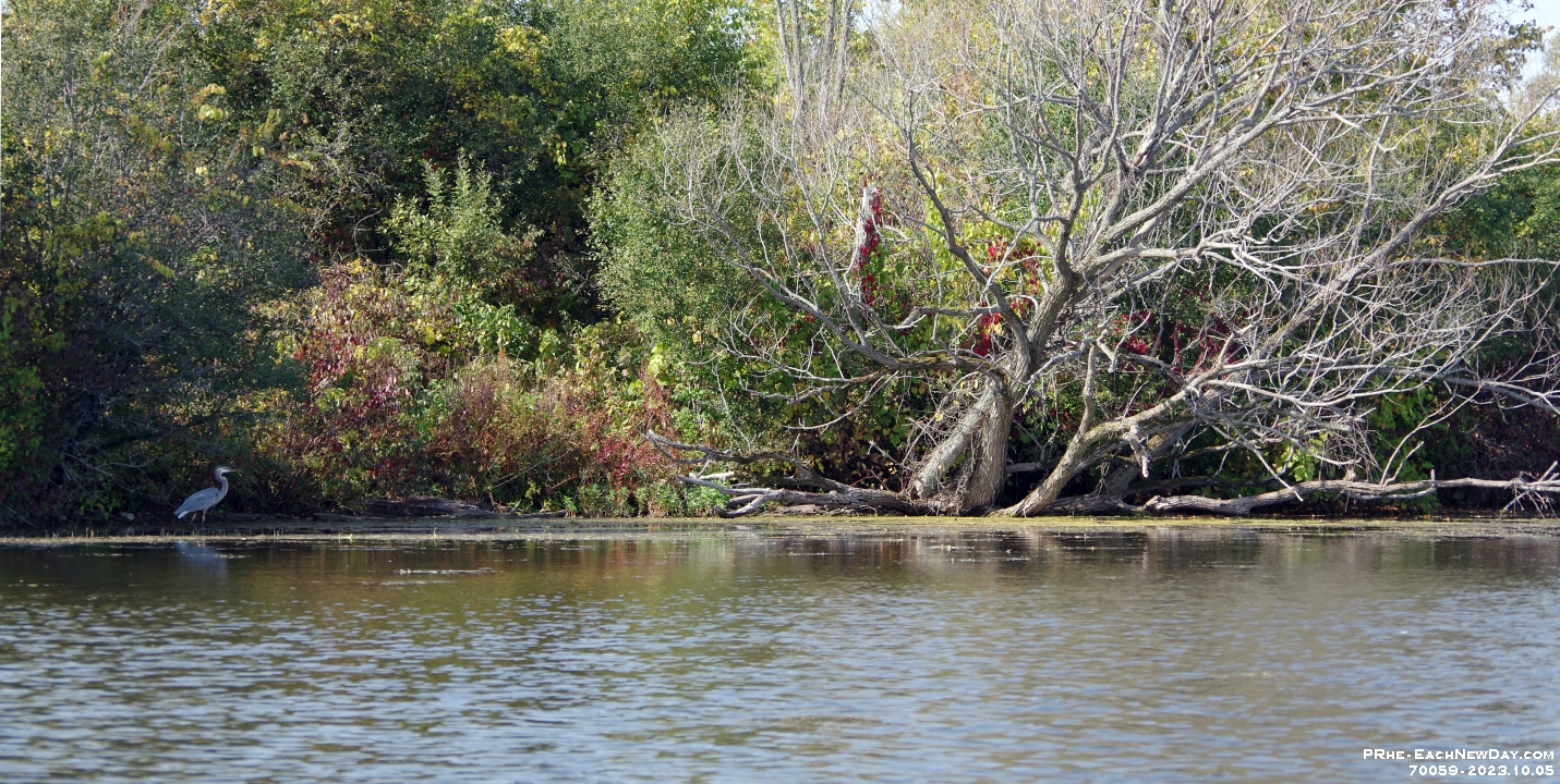 70059RoCrLeUsm - A lovely Sunday afternoon with Beth kayaking Lake Scugog from Port Perry